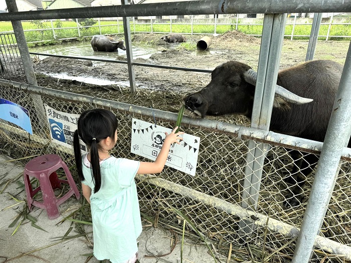 奇摩新聞